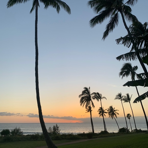 pulama_hawaii